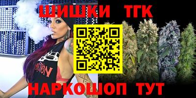 тгк Кингисепп