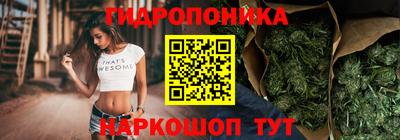 a pvp Конаково