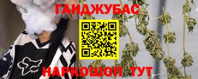 тгк Кингисепп