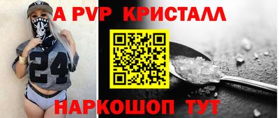 тгк Кингисепп