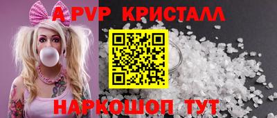 тгк Кингисепп