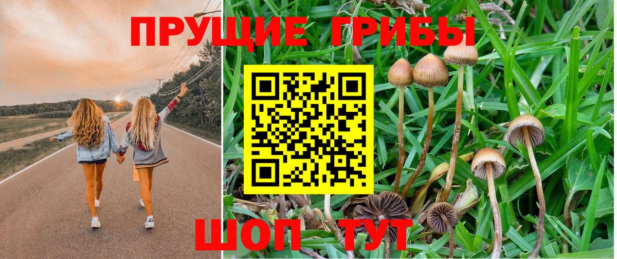Псилоцибиновые грибы мицелий  Псилоцибиновые грибы Cubensis  Вход с VPN  Лабытнанги 