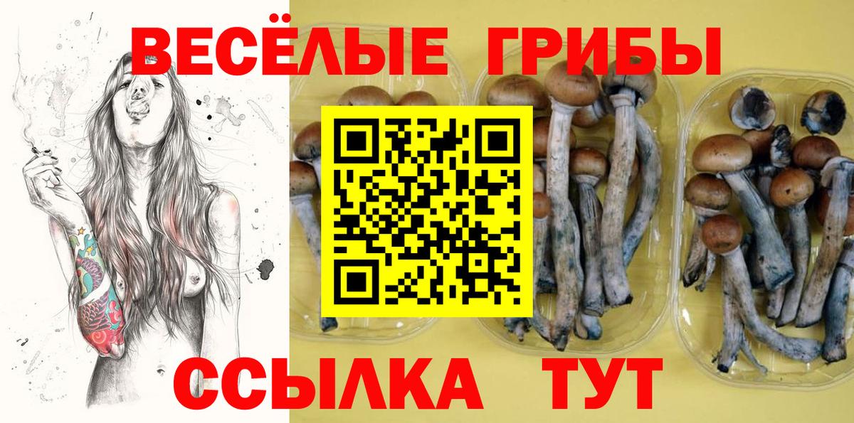 Псилоцибиновые грибы Cubensis Лабытнанги